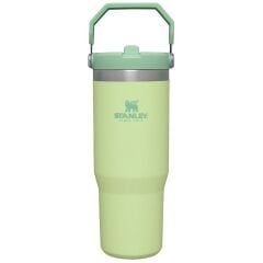Stanley The IceFlow Flip Straw Pipetli Termos Bardak 0,89 LT - Açık Yeşil