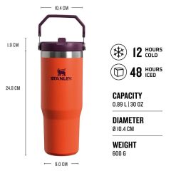 Stanley The IceFlow Flip Straw Pipetli Termos Bardak 0,89 LT - Turuncu